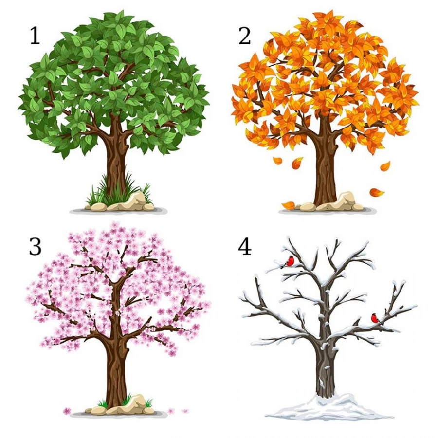 Bạn thích nhất cây nào?