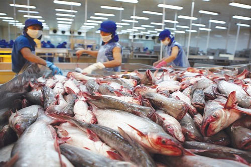 Xuất khẩu cá tra sang Mỹ tăng mạnh