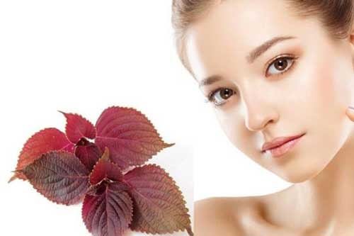 Gợi ý những cách trị mụn thịt hiệu quả và an toàn nhất ngay tại nhà