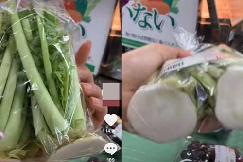Loại củ ở Việt Nam là thứ bỏ đi, nhưng Nhật Bản lại bày bán giá cao trong siêu thị