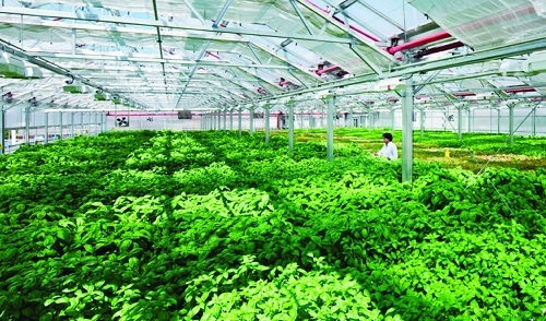 Đắk Nông: Sẽ hình thành 55 vùng nông nghiệp ứng dụng công nghệ cao