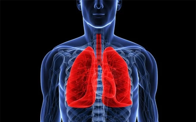 Bảo vệ sức khỏe của hai lá phổi là điều cần thiết phải làm để bảo đảm cơ quan này luôn hoạt động tốt