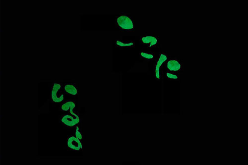 Phát hiện dòng chữ ghê rợn trong phòng ngủ lúc nửa đêm, người phụ nữ hét toáng lên và sự thật gây bất ngờ