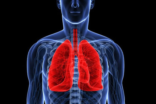 Những thức uống đơn giản có tác dụng bổ phổi, bạn không nên bỏ qua