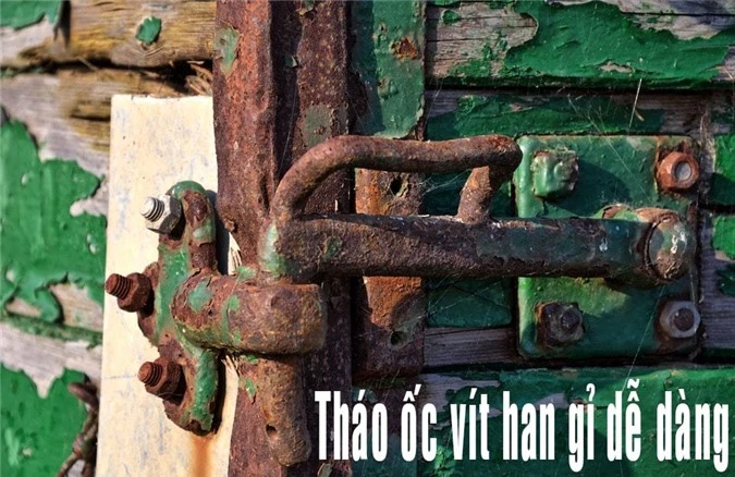 10 điều bất ngờ từ bia chắc chắn bạn chưa biết