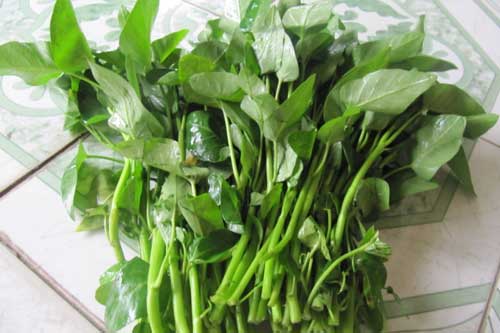 Sai lầm nghiêm trọng khi ăn rau muống bạn phải bỏ ngay