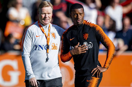 Koeman không dễ có Wijnaldum tại Barca