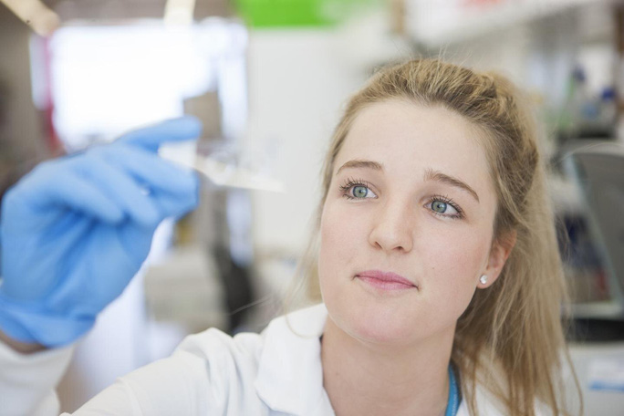 Phát hiện thần dược diệt ung thư trong 1 giờ từ… ong mật