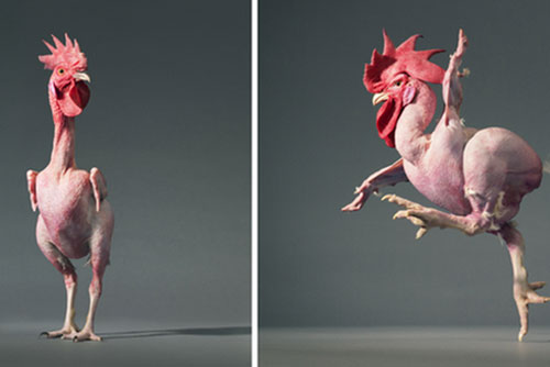 Những khoảnh khắc lạ lẫm, đáng kinh ngạc của các loài động vật