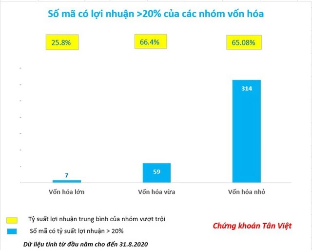 Thế giới phát cuồng vì cổ phiếu “rau dưa, trà đá” - Ảnh 2.