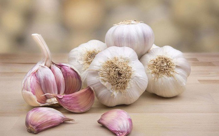 Những loại cây có tác dụng phòng ngừa và điều trị ung thư có đầy ở Việt Nam