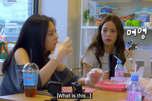 Lầy như BLACKPINK: Làm đồ ăn cho thú cưng ngon quá nên... 'chén' luôn tại chỗ