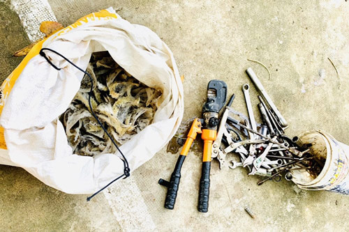 TP.HCM: Dùng vỏ lãi đi trộm tổ yến bán lấy tiền mua ma túy