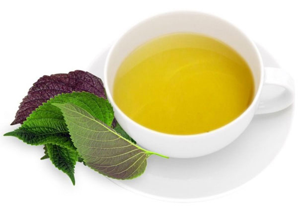 Bất ngờ với lợi ích của nước lá tía tô