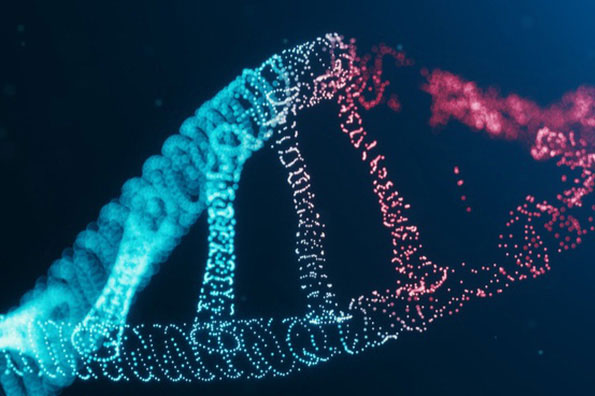 Vaccine COVID-19 sẽ không thay đổi ADN của con người