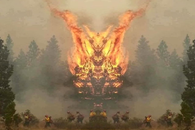 Những bức ảnh này hứa hẹn sẽ dọa bạn 'thót tim' ngay từ lần đầu tiên nhìn vào