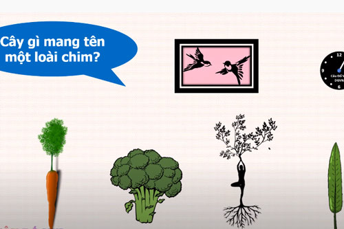 CLIP: Những câu đố mẹo làm cho nhiều người phải "điên đầu" suy nghĩ tìm đáp án