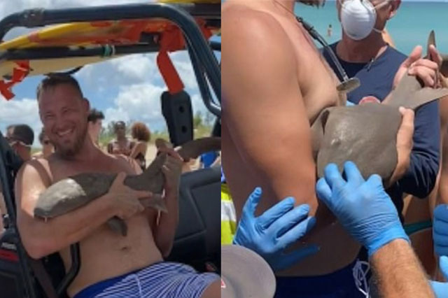 Phản ứng gây kinh ngạc của người đàn ông khi bị cá mập cắn chặt tay không chịu nhả