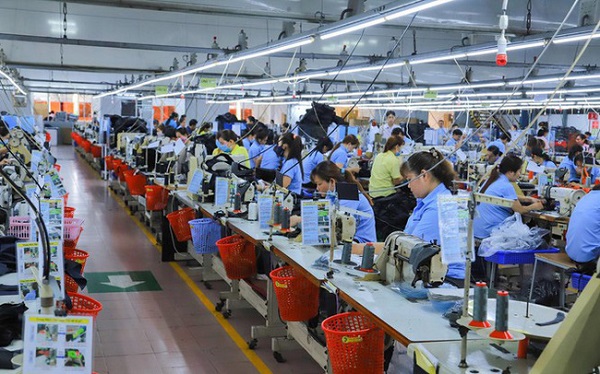 Tổng cục Hải quan chỉ đạo xử lý vướng mắc cho 2 DN bị truy thu thuế hàng chục tỷ đồng