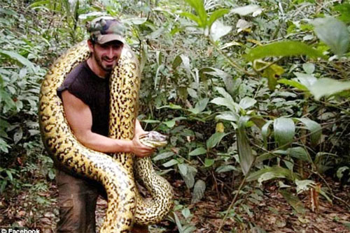 'Giật mình' trước đảo rắn nguy hiểm nhất thế giới ở Brazil