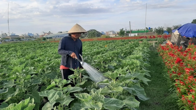 việc đầu tư vào giao thông, thủy lợi phục vụ sản xuất, hỗ trợ ứng dụng khoa học kỹ thuật, vốn vay… đã khuyến khích nhiều doanh nghiệp, HTX, hộ gia đình, cá nhân đầu tư vào sản xuất nông nghiệp, chuyển đổi từ trồng lúa năng suất thấp sang các loại cây trồng, vật nuôi có giá trị kinh tế cao hơn như hoa lan, cây - cá kiểng, bò sữa, góp phần nâng cao thu nhập cho người dân. 