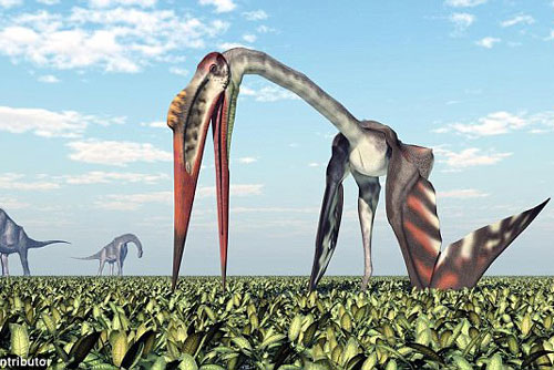 Bí ẩn về dấu tích loài khủng long biết bay to như máy bay