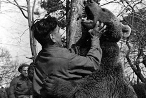 15 loài vật làm nên lịch sử trong các cuộc chiến tranh