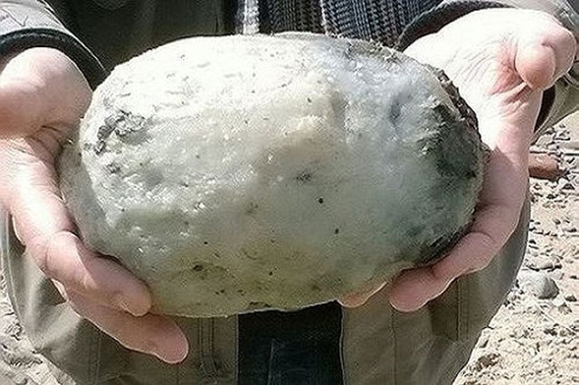 Nhặt được hòn đá "bốc mùi" nồng nặc ở biển, cặp đôi đem về nhà thì lập tức lực lượng cứu hộ kéo đến, khi kiểm tra mới biết là báu vật trời ban