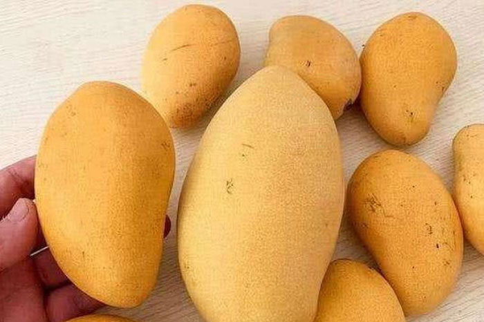 Khi mua xoài thấy có 3 dấu hiệu này nên tránh xa, người bán cũng chẳng thèm ăn