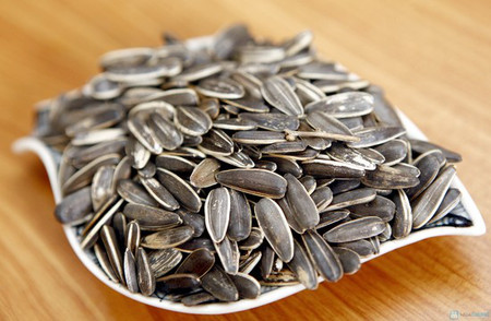 Độc tố gây bệnh từ hạt hướng dương khiến nhiều người khiếp sợ