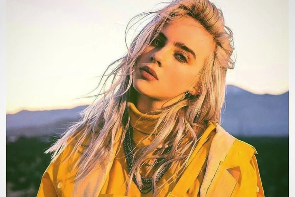 6. Billie Eilish (doanh thu 53 triệu USD).