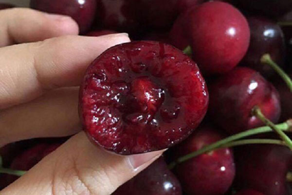 Ăn quả cherry cần nhớ những điều này nếu không muốn thiệt mạng