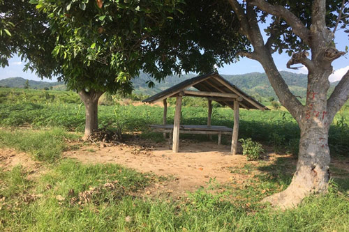 Gia Lai: Hai cán bộ kiểm lâm bị hành hung khi làm nhiệm vụ