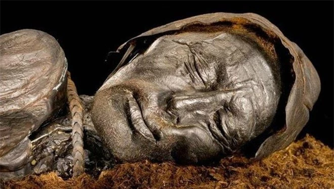 Biểu cảm kỳ lạ trên khuôn mặt của xác ướp đầm lầy Tollund Man.Ban đầu, cảnh sát và các chuyên gia còn cho rằng xác ướp thuộc về một nạn nhân bị sát hại trong vụ án mạng gần đây.