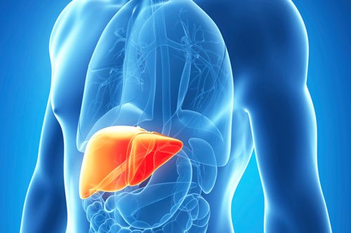Người bị viêm gan nên bổ sung những món này vào bữa ăn hàng ngày để sớm cải thiện tình trạng bệnh