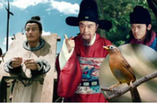 Kỳ án Trung Hoa cổ đại: Tội ác "đẫm máu" xoay quanh chú chim họa mi đắt giá, 5 người đàn ông lần lượt chết đi trong 3 năm