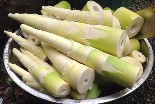 Mẹo khử sạch vị đắng của măng tươi, yên tâm mà ăn thoải mái