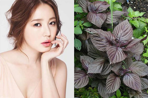 4 cách trị nám và tàn nhang giúp da bạn luôn nhẵn mịn