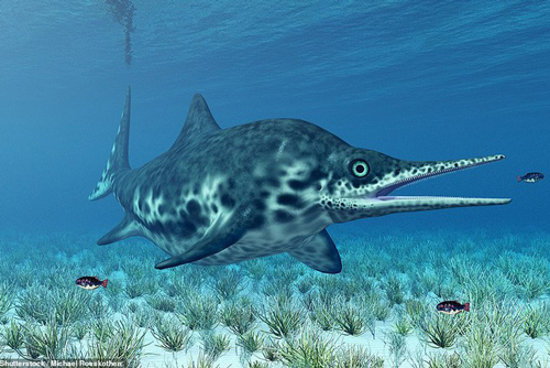 Đào xương, 2 chú chó... khai quật được 'quái vật biển' 65 triệu tuổi