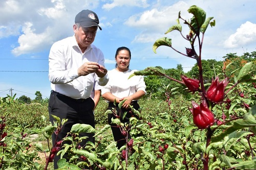 Thừa Thiên Huế: Sẽ tổ chức “Hội nghị diên hồng” với người làm sản phẩm OCOP