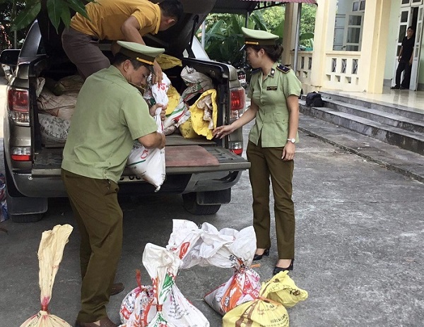 Hà Giang: Tạm giữ hàng tấn khoáng sản không có hóa đơn chứng từ