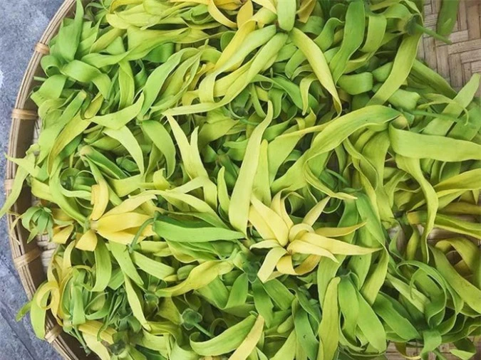   Hoa hoàng lan được nhiều người ở Hà Nội lùng mua về cúng Rằm tháng 7  