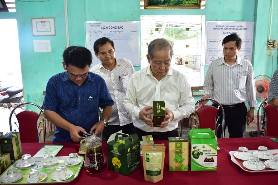 Chủ tịch UBND tỉnh Thừa Thiên Huế Phan Ngọc Thọ kiểm tra sản phẩm sản xuất từ rau má của HTX Quảng Thọ 2.