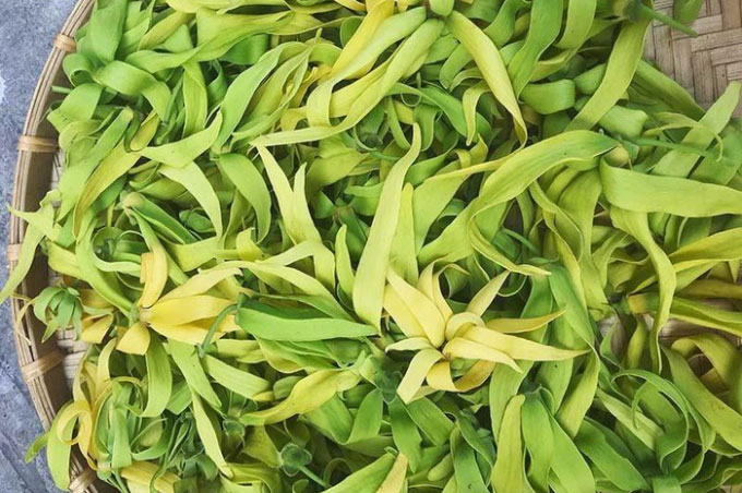 Hoa hoàng lan có giá đắt đỏ 1,5 triệu/kg vẫn cháy hàng