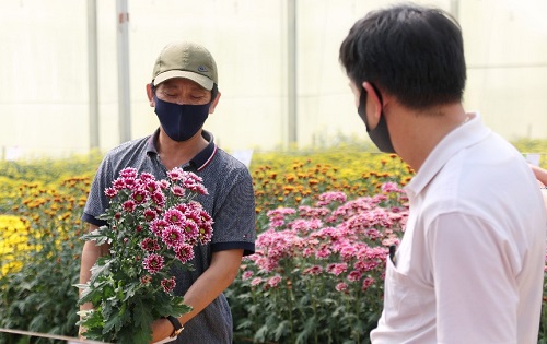 Dalat Hasfarm gi&#x1EDB;i thi&#x1EC7;u hoa th&#x1EED; nghi&#x1EC7;m m&#x1EDB;i b&#x1EB1;ng h&#xEC;nh th&#x1EE9;c online do Covid-19