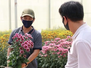 Dalat Hasfarm giới thiệu hoa thử nghiệm mới bằng hình thức online do Covid-19