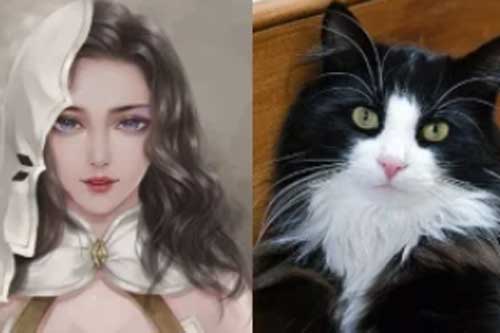 Tử vi 9 ngày cuối cùng của tháng cô hồn: 3 con giáp dễ bị hung tinh theo sát, xui xẻo đeo bám