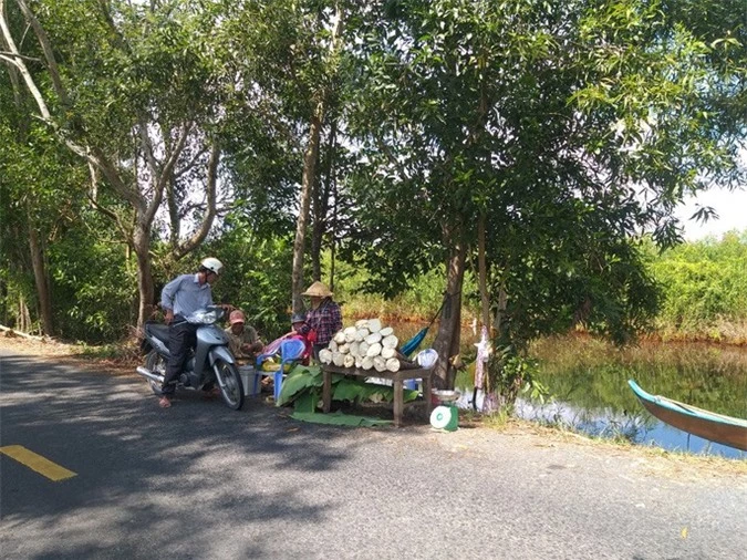 Thu lãi trăm triệu nhờ trồng loại cây bán không bỏ thứ gì - Ảnh 11.