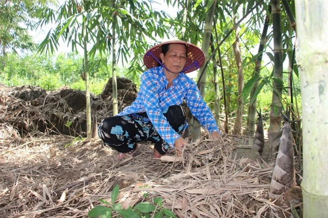 Thu lãi trăm triệu nhờ trồng loại cây bán không bỏ thứ gì - Ảnh 2.