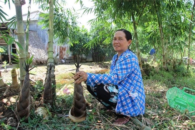 Thu lãi trăm triệu nhờ trồng loại cây bán không bỏ thứ gì - Ảnh 4.